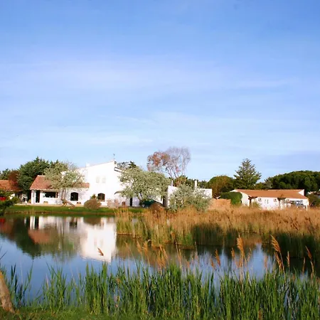 Les Rizieres Saintes-Maries-de-la-Mer