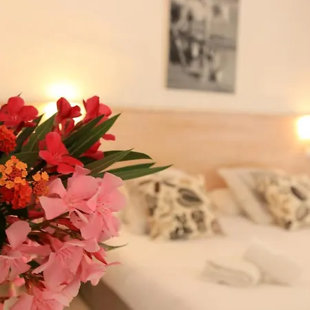 Hotel Les Rizieres